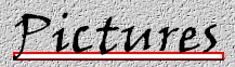 picst.jpg (9148 bytes)